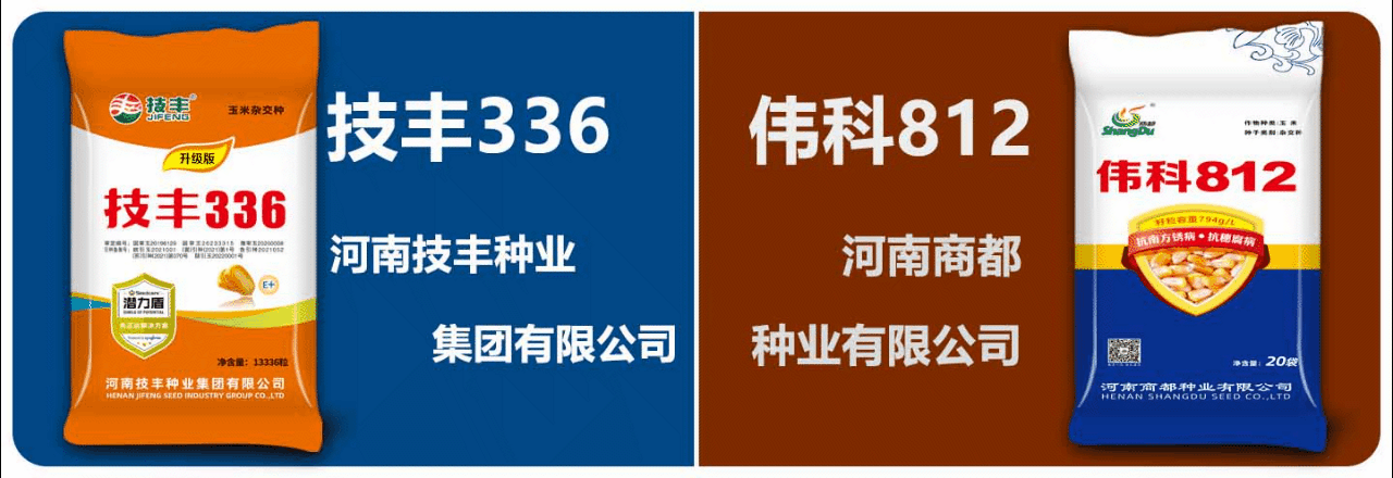技丰商都金太阳兴农.gif